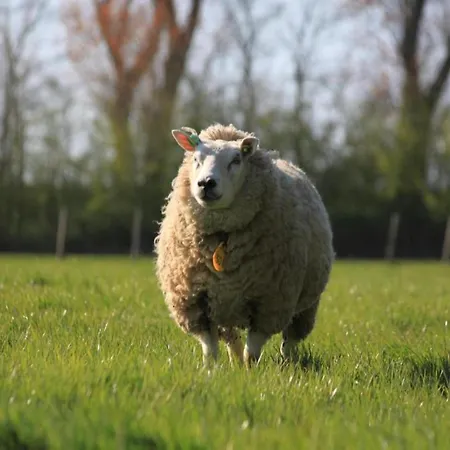 In Wieringer Park With Garden Hippolytushoef